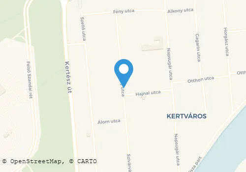 Térkép