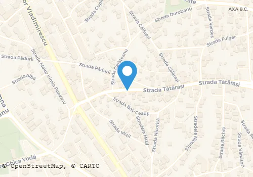 Hartă