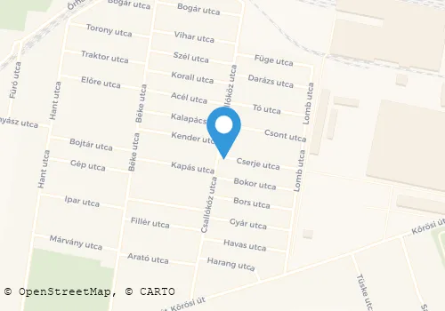 Térkép