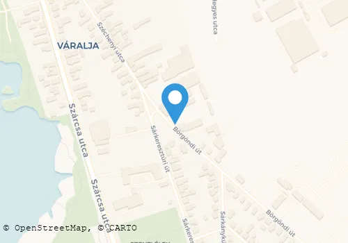 Térkép