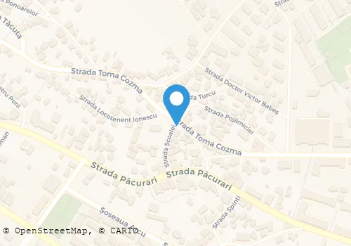 Hartă
