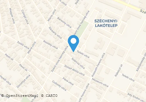 Térkép