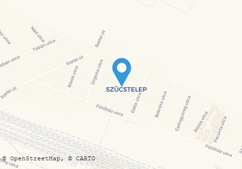 Térkép