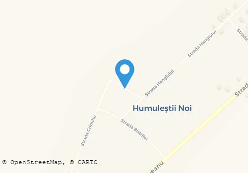 Hartă