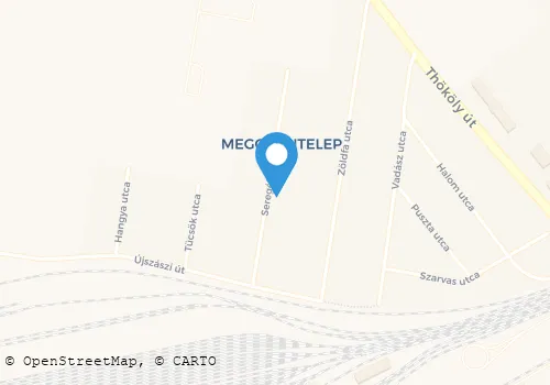 Térkép