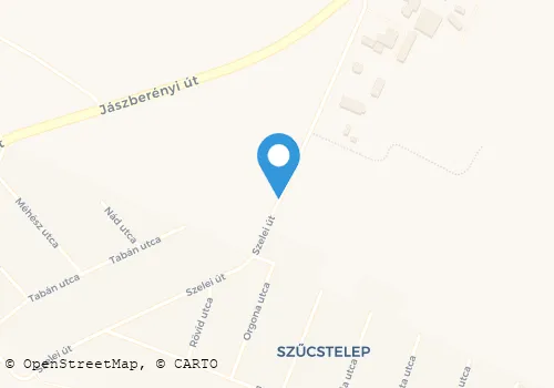 Térkép