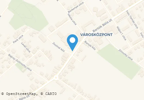 Térkép