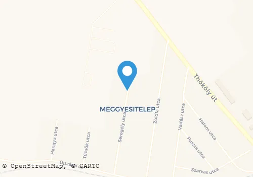Térkép