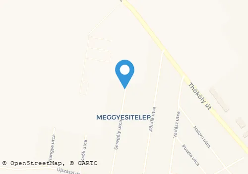 Térkép