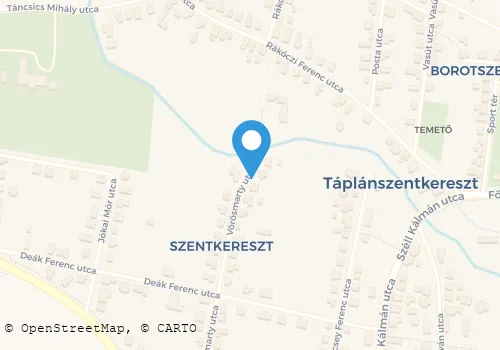 Térkép