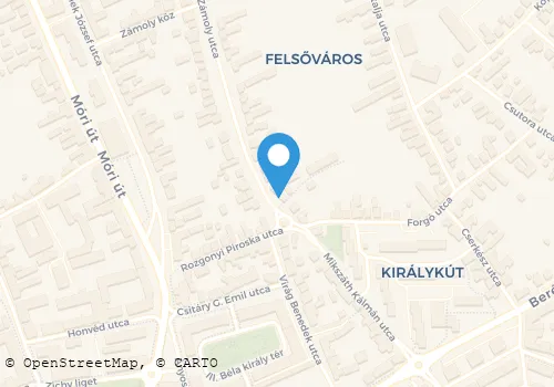 Térkép