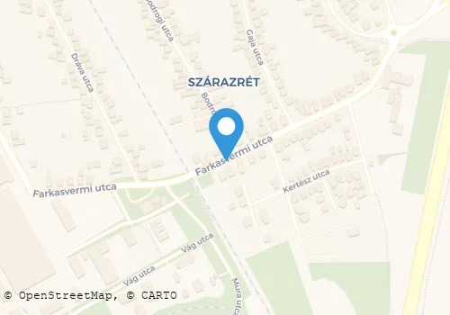 Térkép