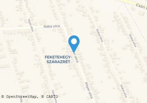 Térkép