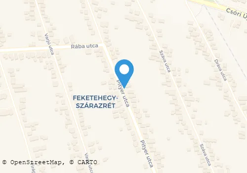 Térkép