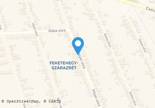 Térkép