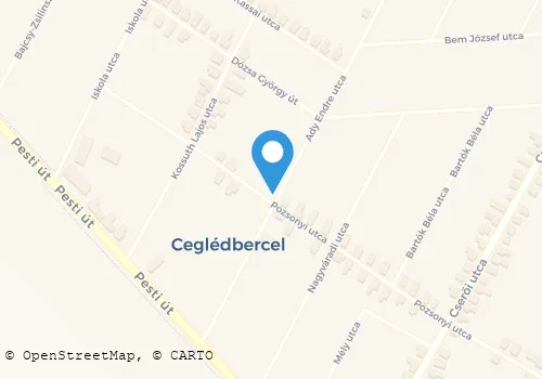 Térkép