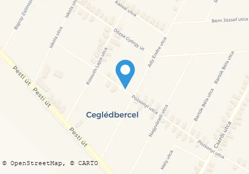 Térkép