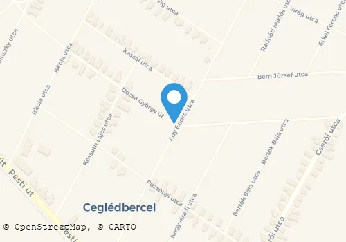 Térkép