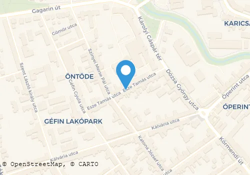 Térkép