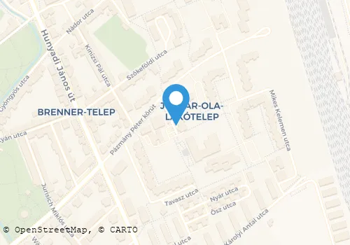 Térkép