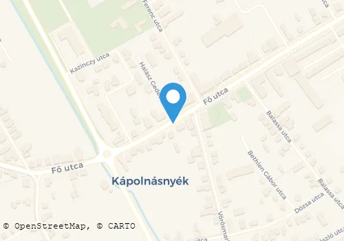 Térkép