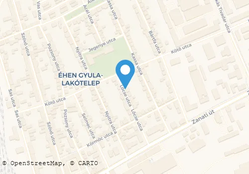 Térkép