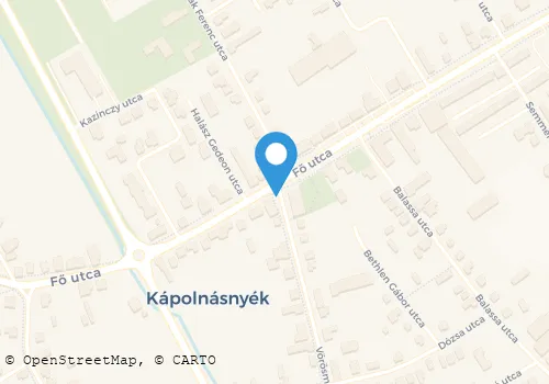 Térkép