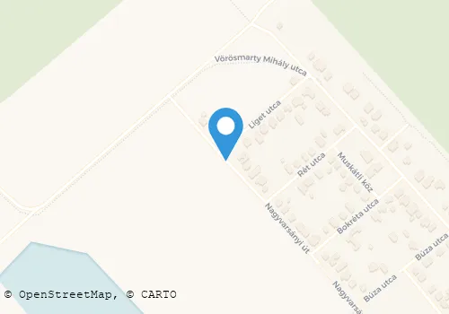 Térkép