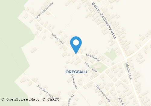 Térkép