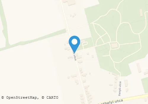 Térkép