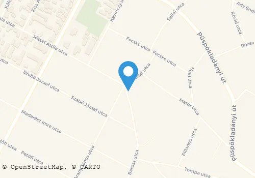 Térkép
