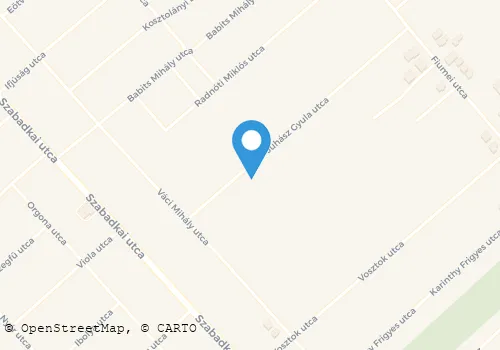 Térkép