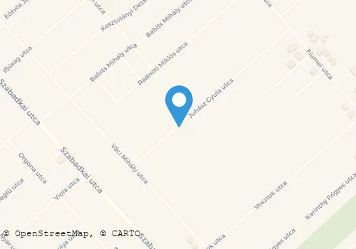 Térkép