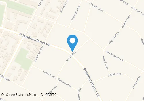 Térkép