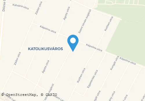 Térkép