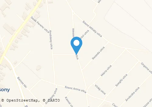 Térkép