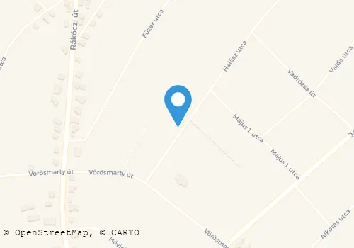 Térkép