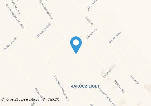 Térkép