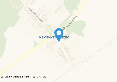 Térkép