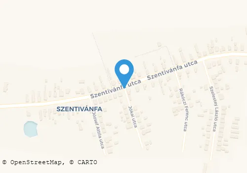 Térkép