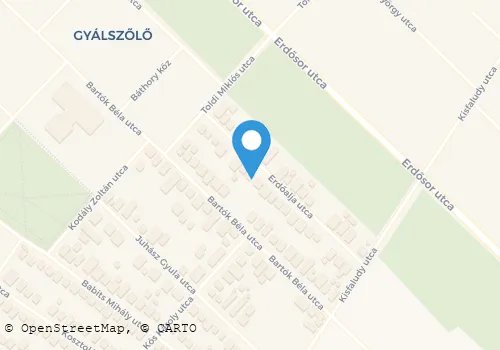 Térkép
