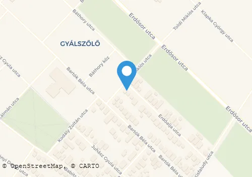 Térkép