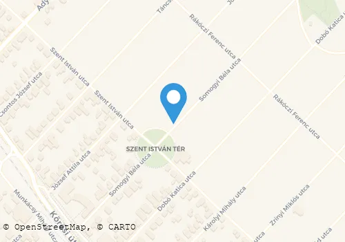 Térkép