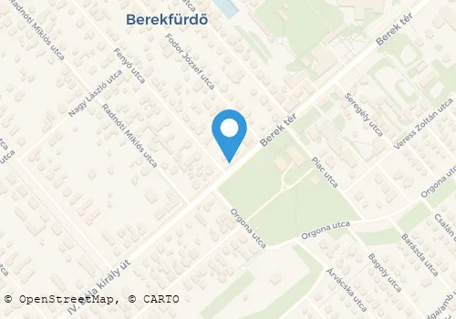 Térkép