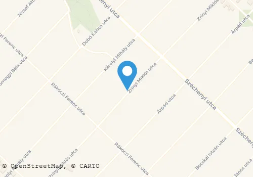 Térkép
