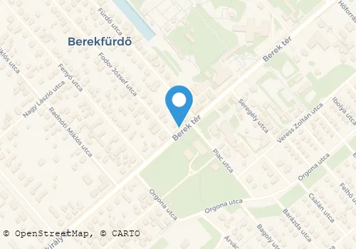 Térkép