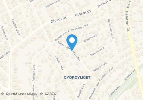 Térkép