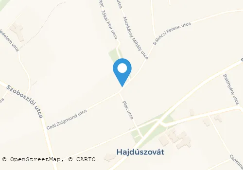 Térkép