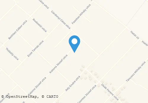 Térkép