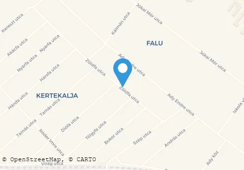 Térkép